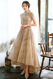 Niulatu champagne lace satin prom dress champagne evening dress HZ0113
