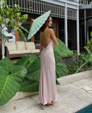 Niulatu Spaghetti Straps Pink Backless Evening Dress Long Prom Dress HZ1007