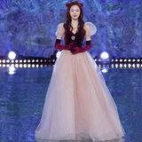 Niulatu A line Short Sleeves Tulle Long Prom Dress HZ1110