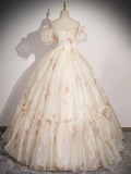 Niulatu Ball Gown Champagne Sweetheart Neck Tulle Long Sweet 16 Dress HZ1110