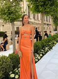 Niulatu Orange Sheath Prom Dress Orange Evening Dress HZ1007