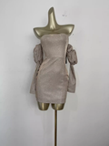 Niulatu Sheath Strapless Sequin Travel Vacation Beach Dress Short Birthday Dress SD0035