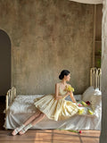 Niulatu Ball Gown Spaghetti Straps Champagne Homecoming Dresses Birthday Dress Birthday Outfits SD1181