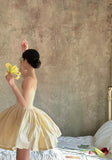 Niulatu Ball Gown Spaghetti Straps Champagne Homecoming Dresses Birthday Dress Birthday Outfits SD1181