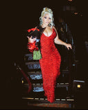 Niulatu Mermaid Sweetheart Red Sequin Long Party Dress Prom Dresses SD1395