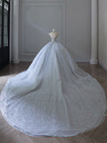 Niulatu Ball Gown Strapless Neckline Sequin Light Sky Blue Long Wedding Dresses Brides Dress SD1656