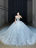 Niulatu Ball Gown Strapless Neckline Sequin Light Sky Blue Long Wedding Dresses Brides Dress SD1656