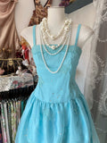 Niulatu Fashion A line Spaghetti Straps Light Blue Floor Length Evening Dress Prom Dresses SD1901