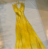 Niulatu Mermaid Spaghetti Straps Backless Long Party Dresses Prom Dresses SD2714