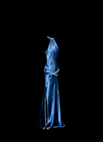 Niulatu Mermaid Halter Neck Blue Satin Backless Prom Gown Fairy Prom Dresses SD2905