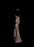 Niulatu Mermaid V Neckline Chiffon Brown Evening Dress Prom Dresses SD2914