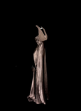 Niulatu Mermaid V Neckline Chiffon Brown Evening Dress Prom Dresses SD2914