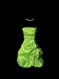 Classy A Line Strapless Taffeta Green Short Homecoming Dress Cocktail Dress Prom Dresses HZ1214