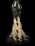 Vintage Classy Mermaid Spaghetti Straps Champagne Tulle Lace Long Evening Dress Prom Dresses HZ1214