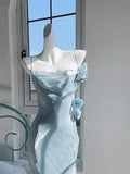 Niulatu Sheath Spaghetti Straps Light Sky Blue Flower Long Prom Dresses Birthday Outfits SD511