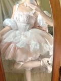 Niulatu Ball Gown Straps Short Pink Cocktail Dresses Birthday Outfits SD558
