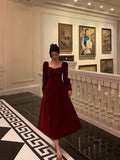 Niulatu A line Square Neckline Long Sleeves Tea Length Velvet Prom Dresses Birthday Outfits SD686