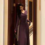Niulatu Sheath V Neckline Grape Long Prom Dresses Birthday Outfits Evening Gown SD980
