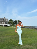 Niulatu Halter Blue Sheath Prom Dress Long Evening Dress Bridesmaid Dress HZ1007