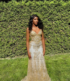 Niulatu V Neck Lace Mermaid Prom Dress Long Evening Dress HZ0113