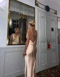 Niulatu Backless Sheath Prom Dress Evening Dress Glam Dress HZ1007