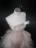 Niulatu Champagne Tulle Sequins Beaded Sheath Long Prom Dress Evening Dress HZ1007