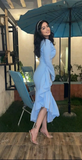 Niulatu Light Blue Women's Prom Dresses V Neck Long Sleeves Formal Occasion Dress Temperament Evening Dress HZ1007