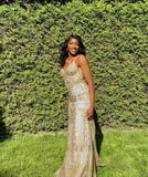 Niulatu V Neck Lace Mermaid Prom Dress Long Evening Dress HZ0113