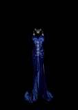 Vintage High Low Spaghetti Straps Royal Blue Satin Long Prom Dresses Party Dress 20th Birthday Outfits Graduation Dresses HZ1214