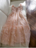 Elegant A line Straps Blush Pink Lace Sleeveless Long Evening Party Gowns Evening Formal Dresses Prom Dress HZ1214