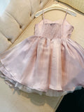 Trendy Ball Gown Spaghetti Straps Pink Tulle Short 8th Grade Homecoming Dress Summer Middle School Hoco Dresses Cocktail Dress Birthday Outfits HZ1214