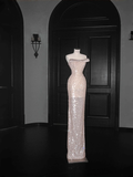 Niulatu Champagne Tulle Sequins Beaded Sheath Long Prom Dress Evening Dress HZ1007