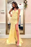 Niulatu Mermaid V-neck Spaghetti Straps Lace Appliqued Prom HZ1007