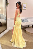 Niulatu Mermaid V-neck Spaghetti Straps Lace Appliqued Prom HZ1007