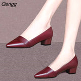 Niulatu and Autumn New Shallow Mouth Medium Thick Heel Single Shoes Pointed Toe Retro Comfortable Simple Mother Shoes DJSE