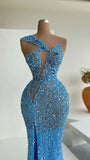 Niulatu Mermaid Sequins Celebrity Dresses Charming Evening Dress HZ1007