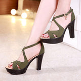 Niulatu 32-43 Block High Heels Gladiator Sandals Women Shoes Suede 2025 Summer Sexy Platform Shoes for Office Dance Model DJSE