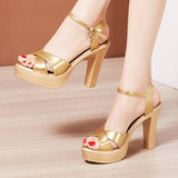 Niulatu High Heels Ladies Summer Dress Shoes For Women 2025 Female Patent Leather Platform Wedge Heel Elegant Sandal DJSE
