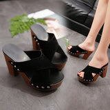 Niulatu Women Sandals 2025 New Square High Heel Platform Flock Casual Rivet Pumps Peep Toe Female Elegant Ladies Shoes Zapatos De Mujer DJSE