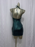 Niulatu Sheath Green Sequin Travel Vacation Dress Short Birthday Dress SD0065