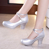 Niulatu Women Sexy High Heels Leather Thick Soled Platform Bottom Silver Black Work Shoes Woman Dress Wedding Pumps Zapatos Tacon Mujer DJSE