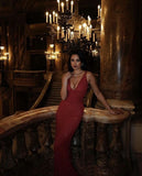 Niulatu Red Sheath V Neck Beaded Tulle Long Prom Dress Party Dress HZ0113