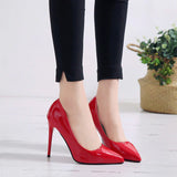 Niulatu Women Pumps High Heels Shoes Woman Stiletto Pointed Toe Female Sexy Party Shoes Office Lady Wedding Party Plus Size DJSE