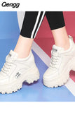 Niulatu Shoes Lace-up Fashion Sneakers Platform Snow Boots Autumn Women Boots PU Leather Women's Shoes Zapatos De Mujer DJSE