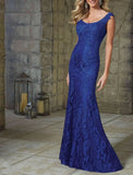 Niulatu Party Dress Elegant Floral Wedding Guest Formal Evening Dress Scoop Neck Sleeveless Floor Length Lace with Lace Insert Pattern / HZ1007