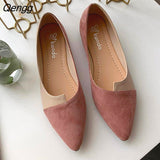Niulatu Shoes Splice Color Shoe Ballerina Slip On Shoes Women Flats 2025 Fashion Pointed Toe Ballet Footwear Buty Damskie DJSE