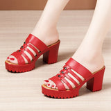 Niulatu 32-43 Summer Wedding Shoes Women Slippers Platform 2025 High Heels Slides Ladies Gladiator Shoes Office Slippers DJSE