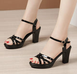 Niulatu 32-43 Block Heel Platform Sandals Women Wedding Shoes Summer 2025 Elegant Leather High Heels Sandals Ladies Office DJSE