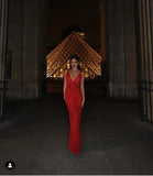 Niulatu Red Sheath V Neck Beaded Tulle Long Prom Dress Party Dress HZ0113