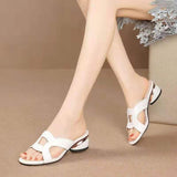 Niulatu Women's Slippers Women Shoes 2025 Summer Peep Toe Sandals Fashion Pumps Ladies Dress Wedding High Heels Shoes Female Slides DJSE